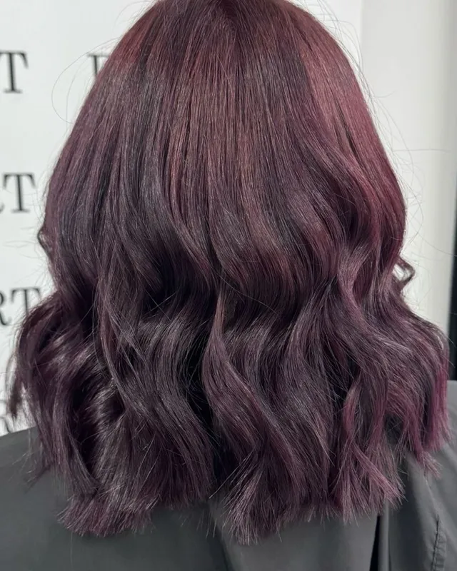 Black box dye corrected into a glossy plum by Mollie